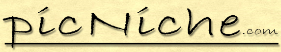 picNiche logo