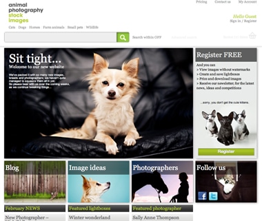 Animal Photography New Website