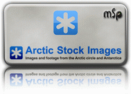 arctic stock logo
