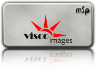 ViscoImages Logo