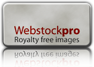 webstockpro logo