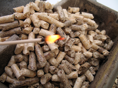 wood pellets and fire 